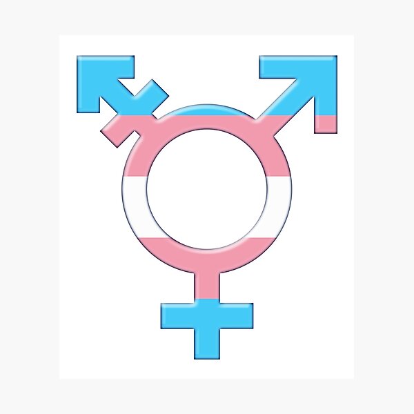 Mon journal de bord de femme transgenre